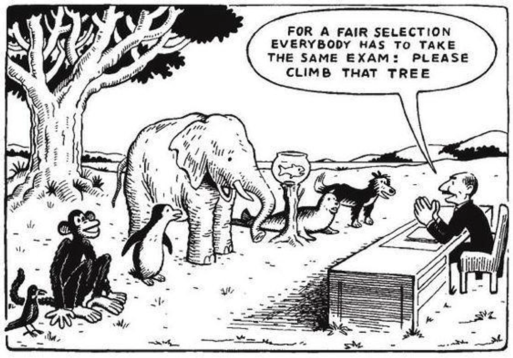 Fair selection cartoon.