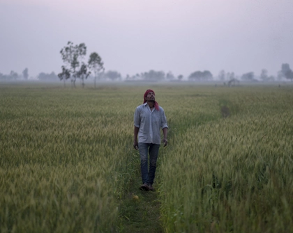 Lorik Prasad Yadav, of Sugauli Birta, Nepal, walks through a field of wheat early in the morning before beginning work for the day. (AtlasNetwork.org Photo / Bernat Parera)