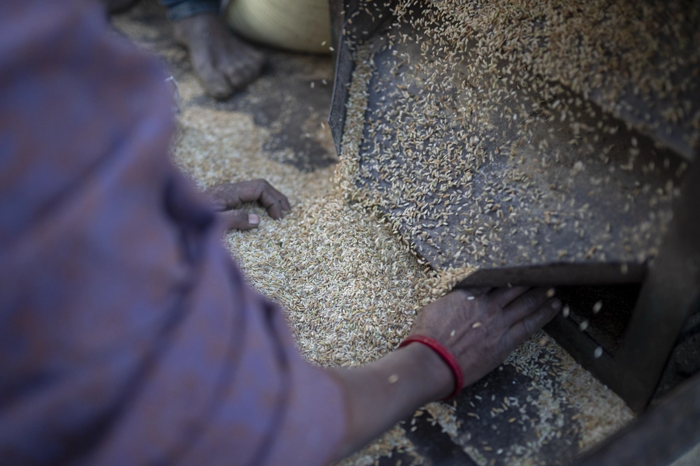Lorik’s mobile mill saves money and hours of time for local farmers, who no longer have to haul their harvest far from home. (AtlasNetwork.org Photo / Bernat Parera)