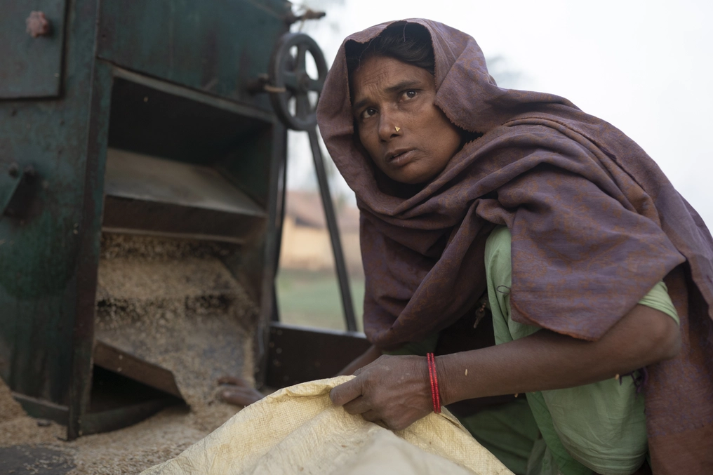 A local client of Lorik’s prepares her now-edible rice for storage. (AtlasNetwork.org Photo / Bernat Parera)