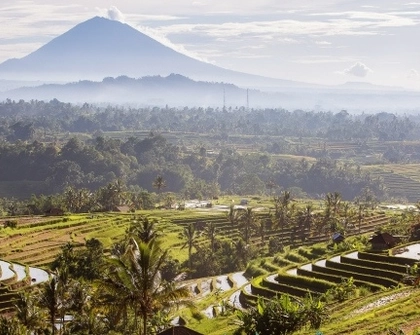 Indonesia stock
