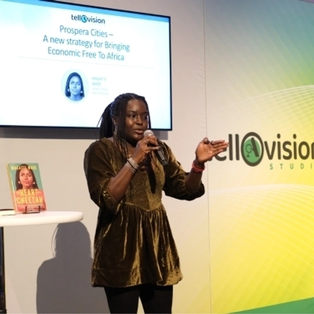 Magattetellavisionstudio