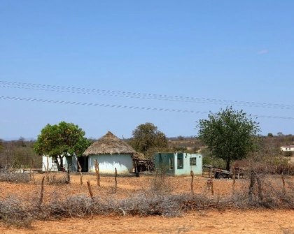 Zimbabwe new