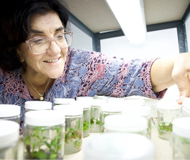 Expanding Opportunity