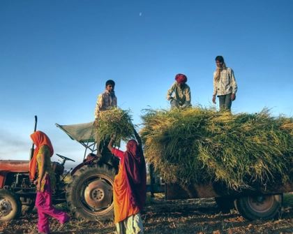 Indian farmers stock