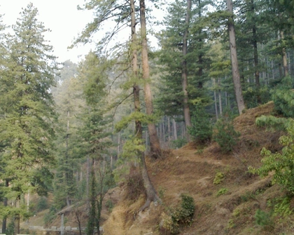 Photo credit: Farhan Chawla (license CC BY 2.0)