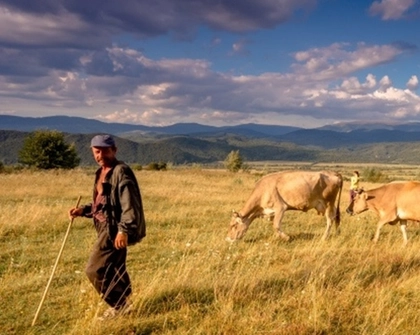Ukrainian farmer