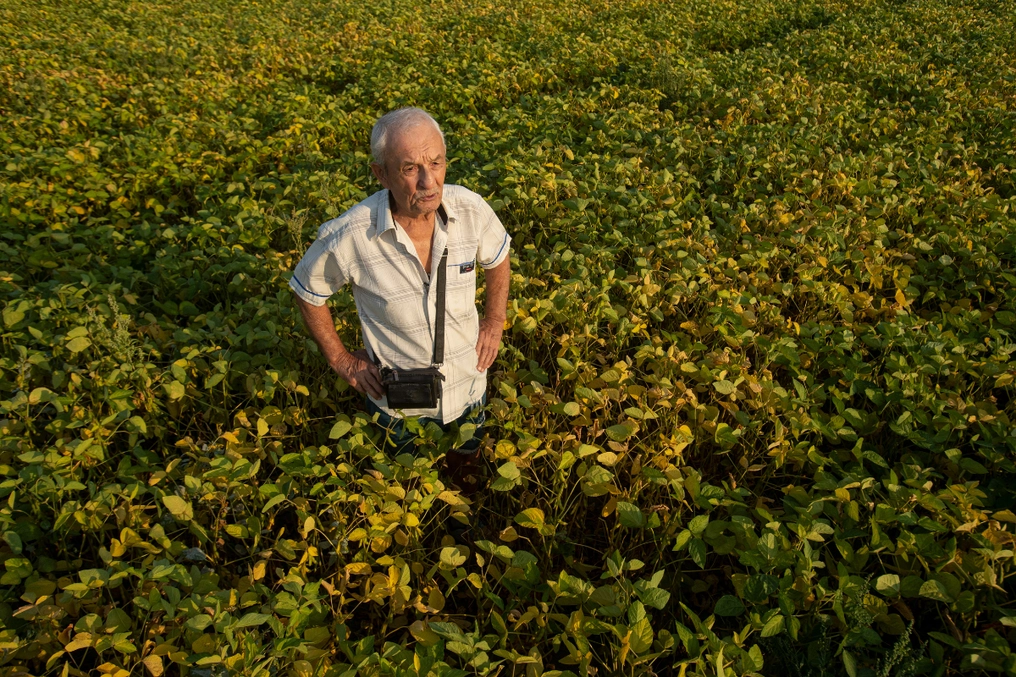 Viktor Tsytsyura stands in a field of soybeans near his plot of land outside Ternopil, Ukraine (AtlasNetwork.org Photo/Bernat Parera).